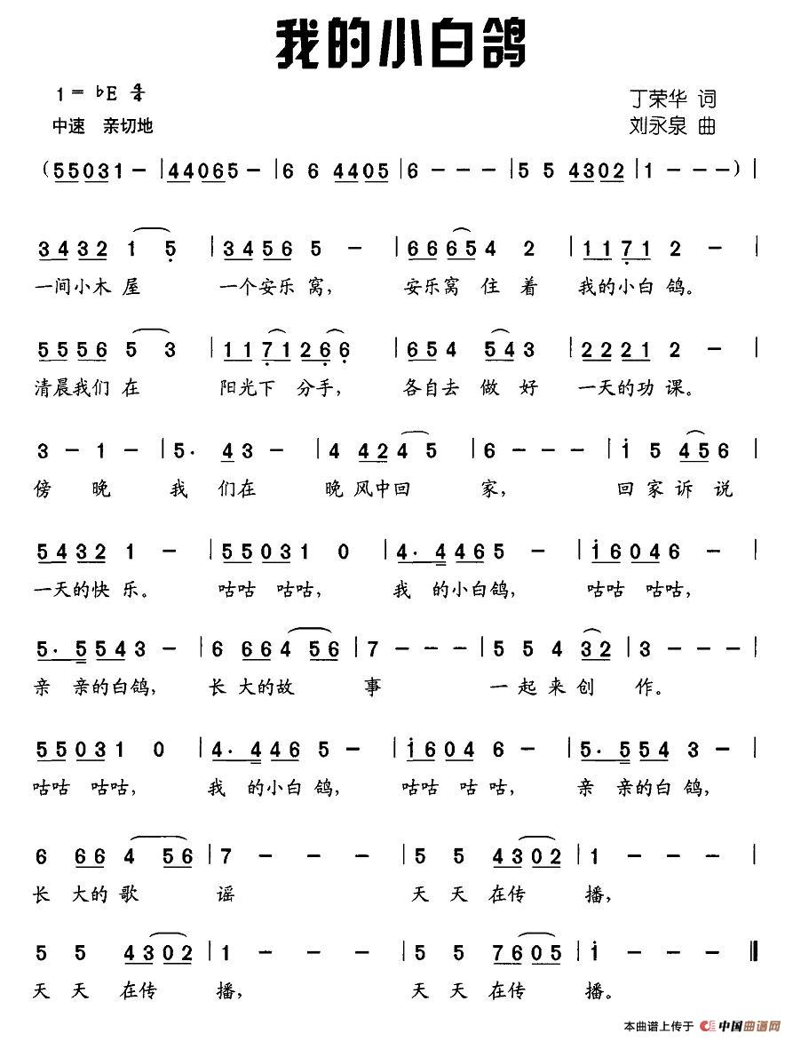 我的小白鸽简谱