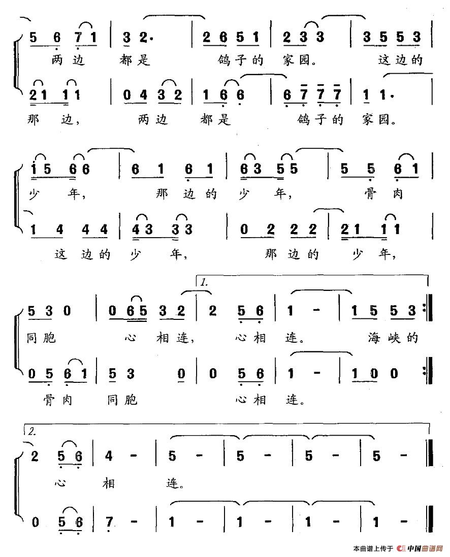 鸽子与少年简谱