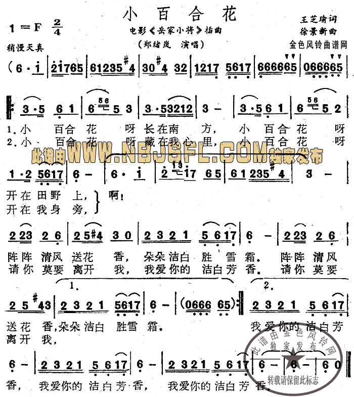 小百合花